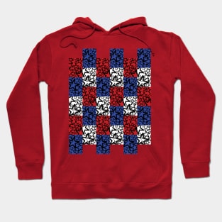 Stars and Stripes Hoodie